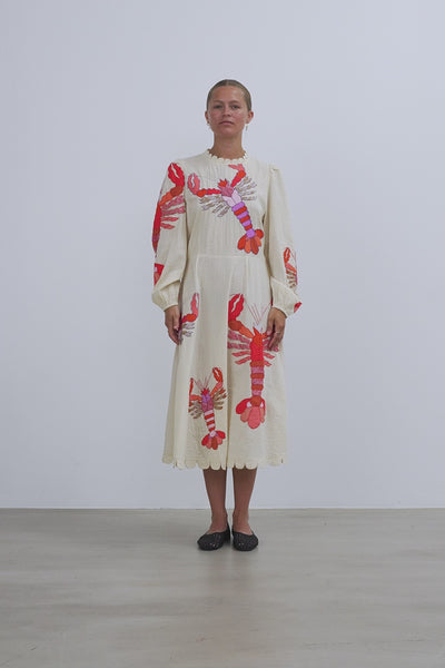 Stella Nova Embroidered Midi Dress Dress 530 Multicolour